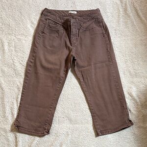 Lee Women's Brown Jeans